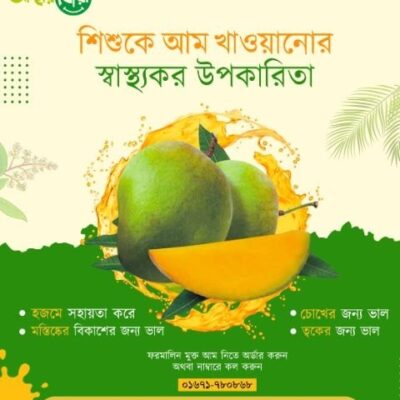 হিমসাগর প্রিমিয়াম আম | আস্থার ছোঁয়া ফরমালিনমুক্ত আম