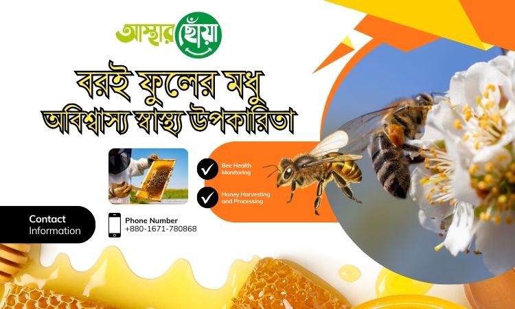 বরই ফুলের মধুর অবিশ্বাস্য স্বাস্থ্য উপকারিতা! জানলে আজই খেতে শুরু করবেন!