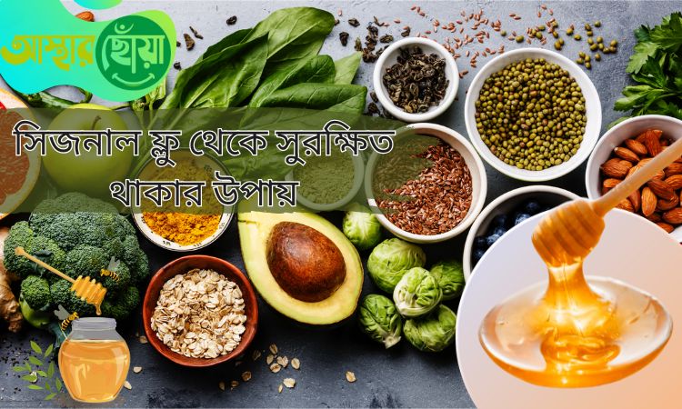 সিজনাল ফ্লু থেকে সুরক্ষিত থাকার উপায় এবং স্বাস্থ্যকর অর্গানিক খাবারের ভূমিকা